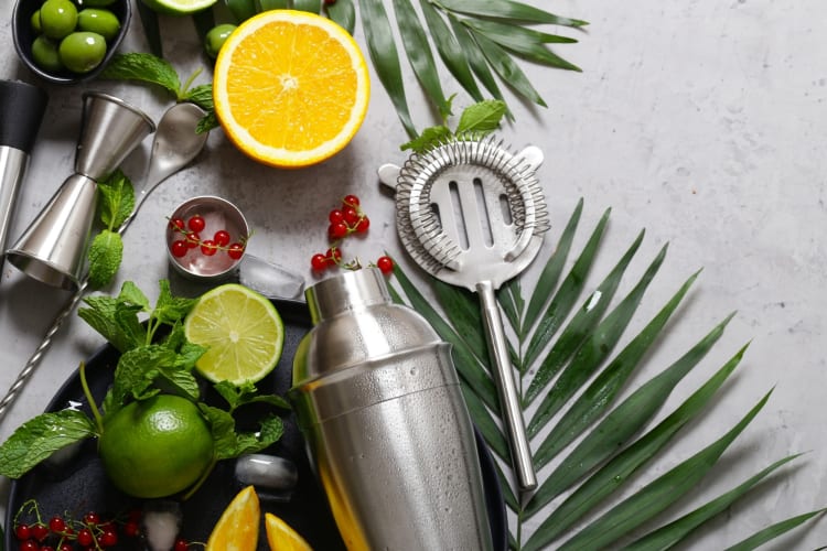 Cocktail Shaker Sets Best 7 for 2024 Cozymeal