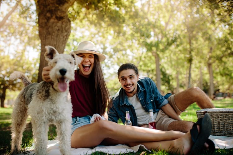 a couple on a picnic with their dog