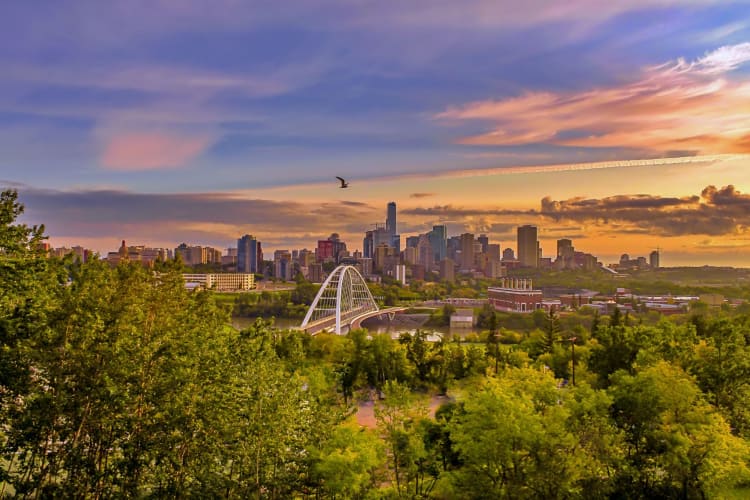 Team Building Activities in Edmonton 13 Best in 2024 Cozymeal