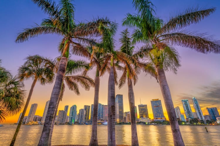 Discovering Miami: A Guide to the Best Business Events