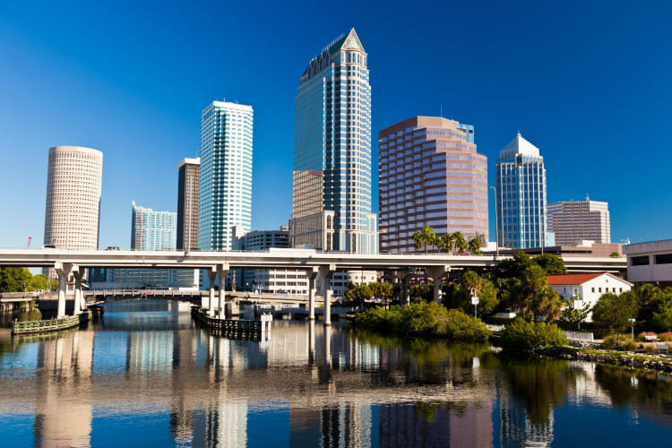 Tampa Bay Skyline Sports Teams Logo Rays X Lightning X Buccaneers