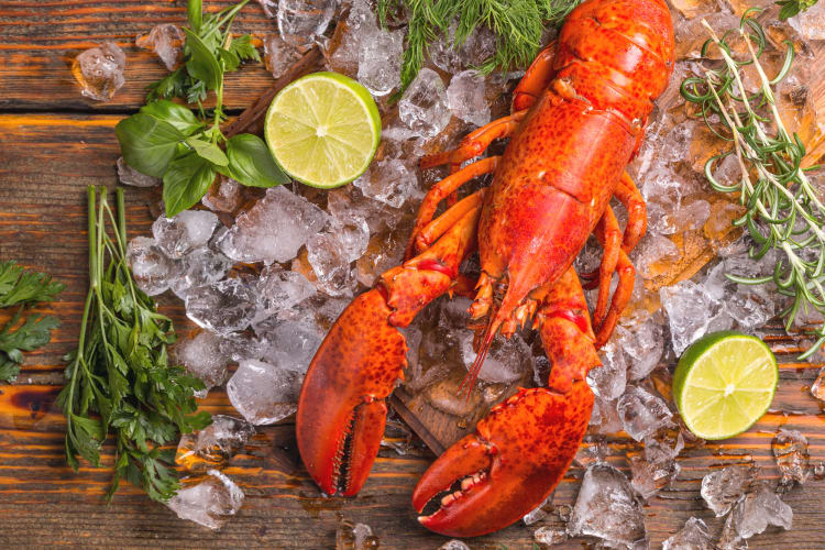 Boiled Lobster Recipe, How to Cook and Eat Lobster