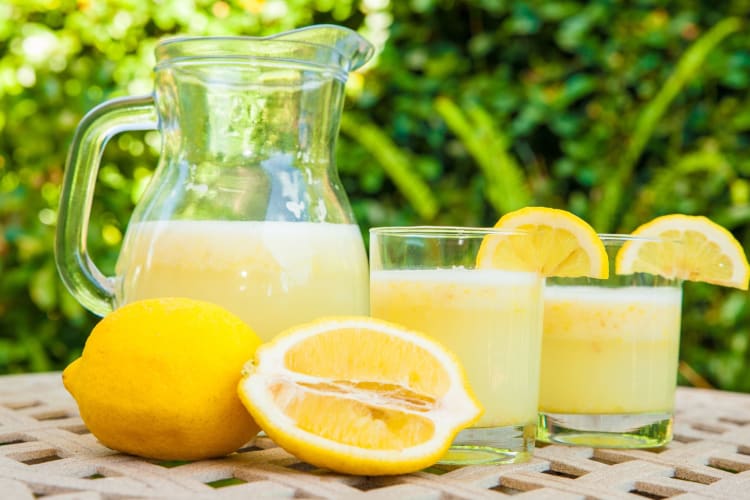 National Lemonade Day August 20, 2024 Cozymeal