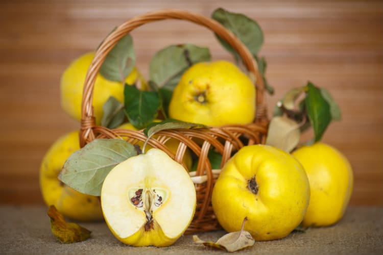 Quince fruit in and around a basket