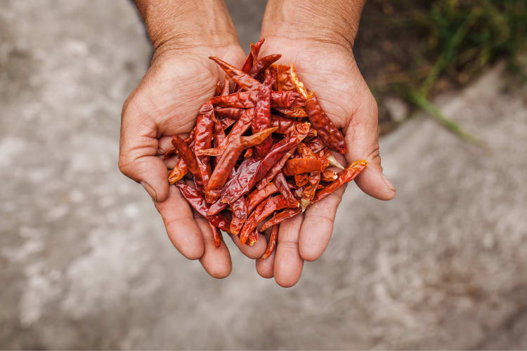 Substitute for Guajillo Chiles