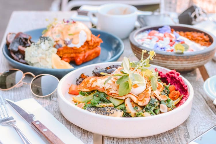 Best Restaurants in Tucson Hidden Gems and Local Favorites