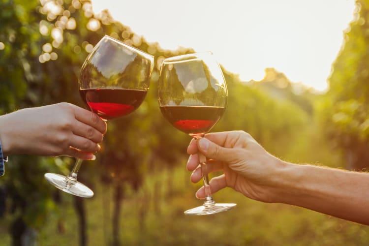 Wine Movies 23 Best Wine Movies for 2024 Cozymeal