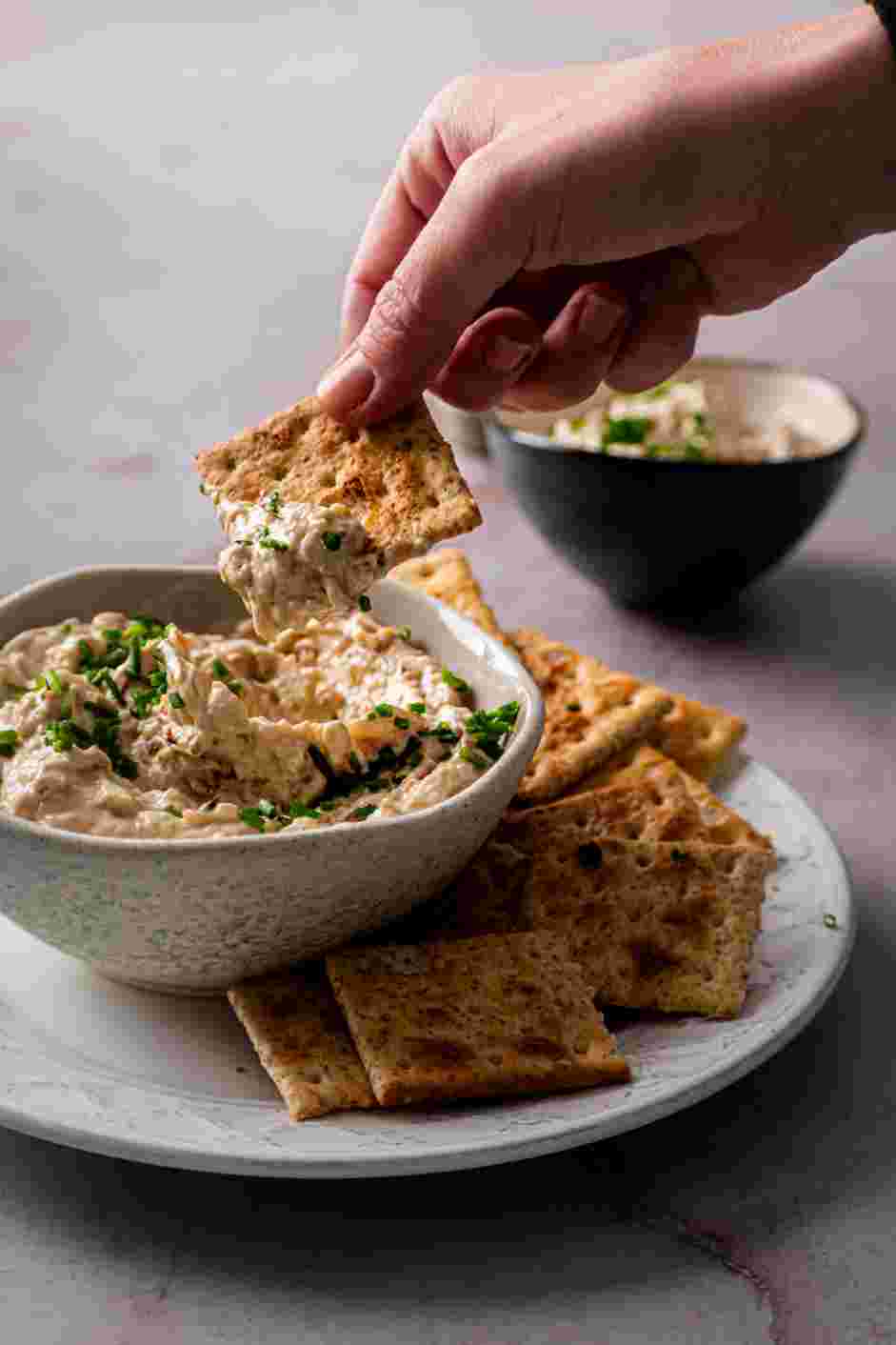 Caramelized Onion Dip Recipe: Garnish with finely minced chives.