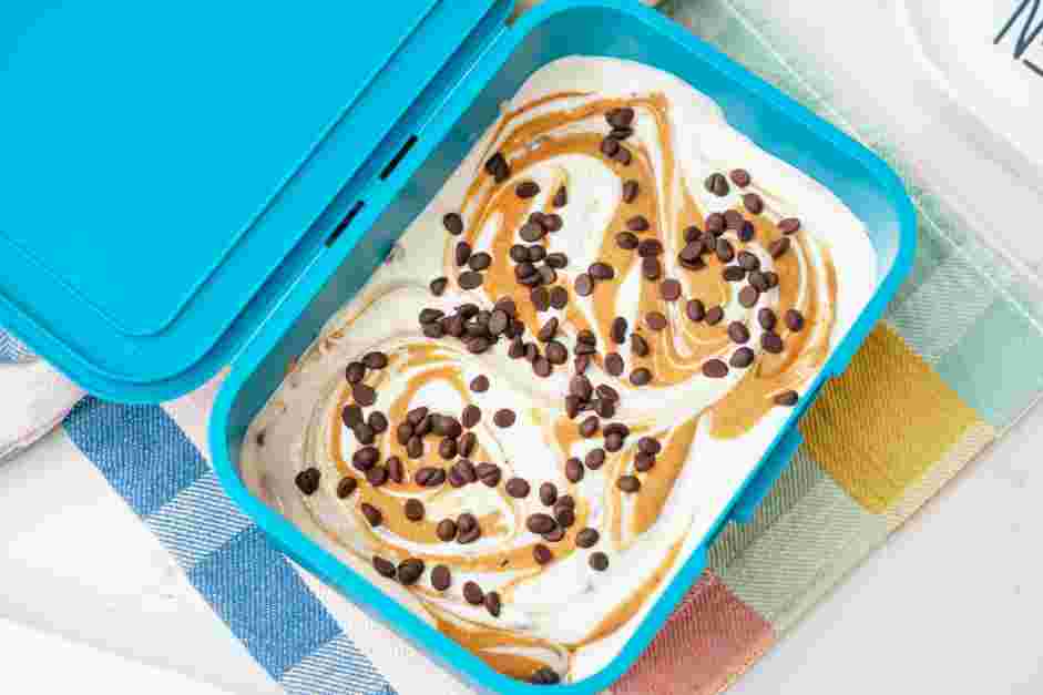 Cottage Cheese Ice Cream Recipe: Scatter some mini chocolate chips on top.