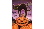 Spooky Cat