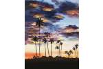 Cinematic Sunset Palm Trees