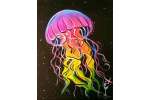 Rainbow Jellyfish