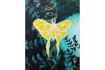 Glowing Lunar Moth - Pasadena