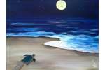 Turtle on a Moonlit Beach - Pearland