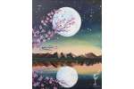 Lovely Cherry Blossoms