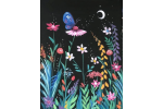 The Butterfly Travels at Night