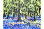 Spring Forest
