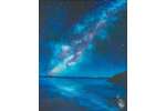 Night Beneath Dazzling Stars
