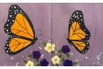 Monarch Butterflies and Blooms