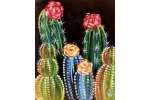 Prickly Plants in Bloom
