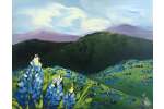 Field of Bluebonnets - Pasadena