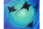 The Serenity of Swimming with the Rays