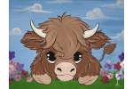 Playful Highland Calf - Baytown