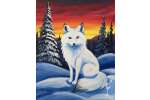 Arctic Fox in Snow