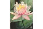 Lotus Bloom Serenity