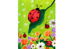 Vibrant Ladybug Scene