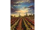 Tulips at Sunset