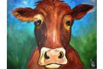 Curious Cow