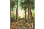 Mossy Forest Path