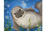 Playful Manatee