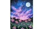 Magical Coneflower Field