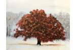 Crimson Frost - Kenwood