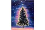 Christmas Magic - Nutley