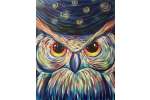 Starry Night Owl - San Francisco