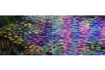 Monet's Waterlilies Date Night - Woodridge