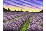 Lavender Twilight - Franklin