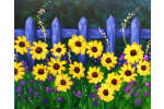 Touch of Summer - Cincinnati