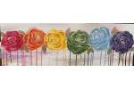 Rainbow Roses - Norman