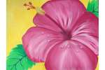 Hibiscus in Pink - Cincinnati