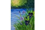 Monet-style Irises - Phoenix