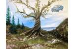 The Enchanted Car - Tyler
