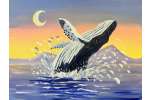 Ocean’s Gentle Giant - Elk Grove