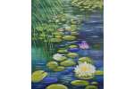 Lavender Impression - Rancho Santa Margarita