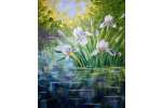 Petals on the Pond  - Rancho Santa Margarita