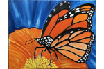 Orange Butterfly on Summer Flower