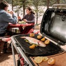 Weber Traveler® Portable Gas Grill 3